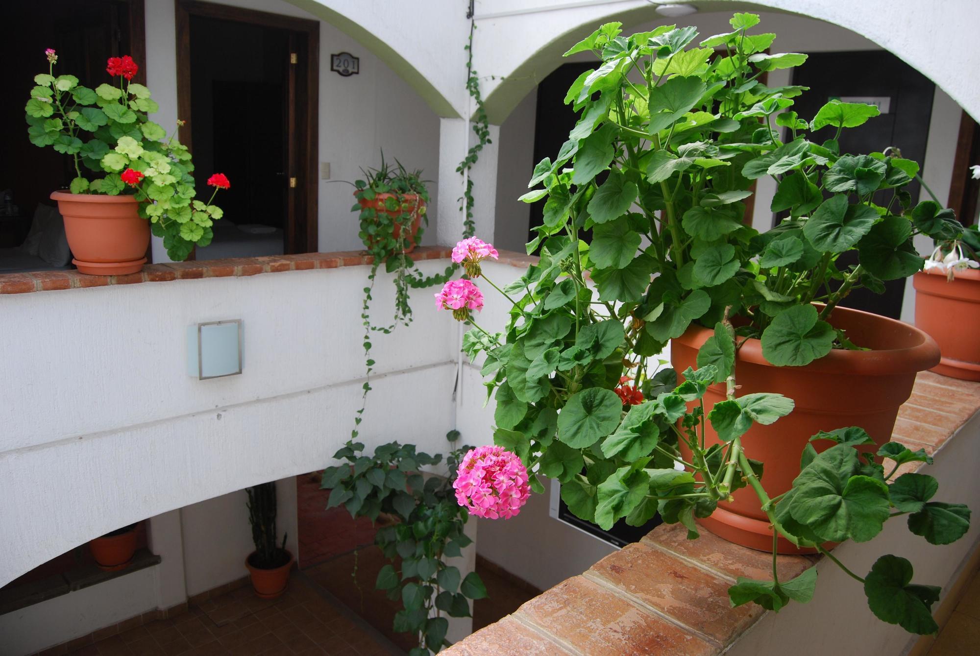 Hotel Jardines de Luz San Cristóbal de Las Casas Exterior foto